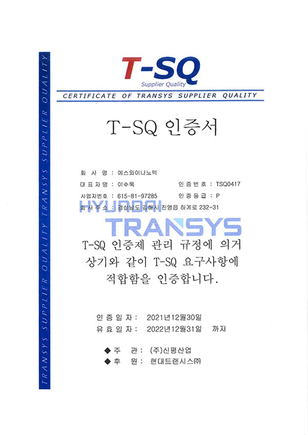 T-SQ-인증서
